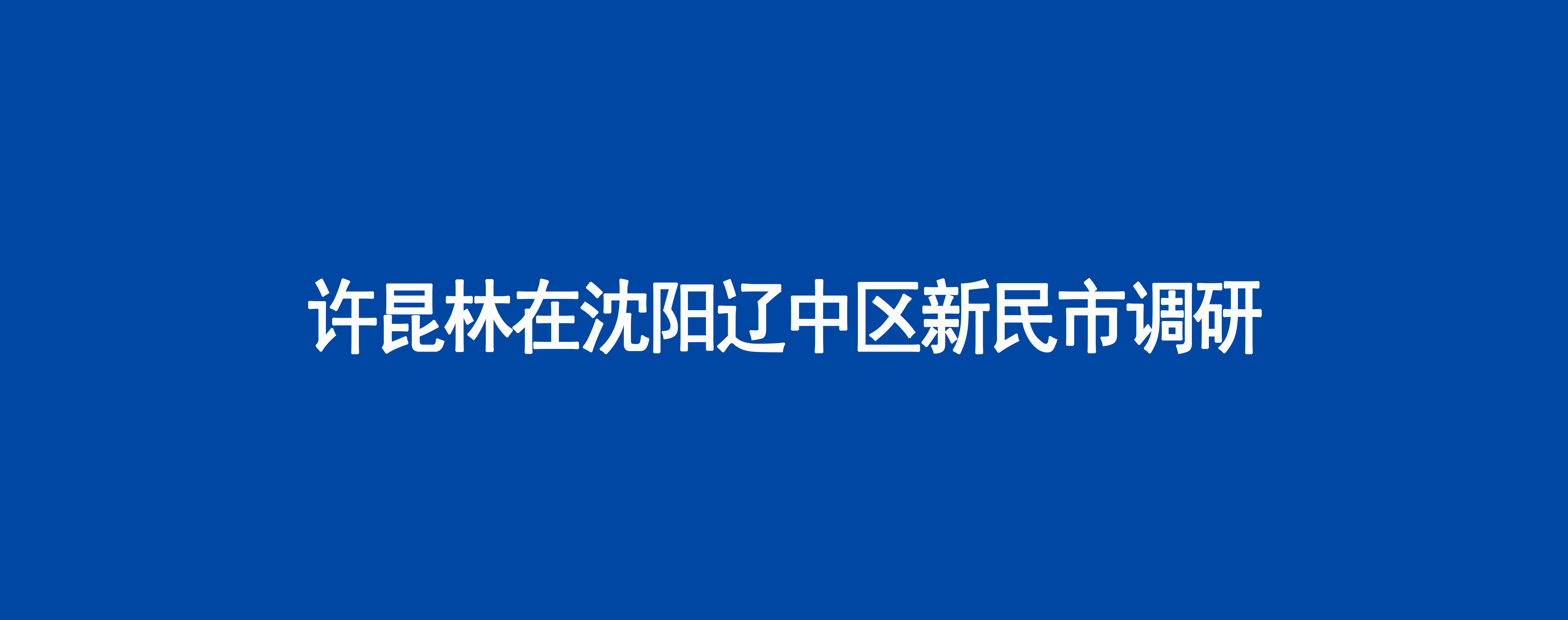 许昆林在沈阳辽中区新民市调研